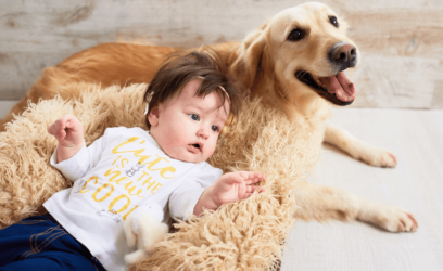 Le bébé et les animaux domestiques